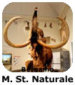 Museo di Storia Naturale BG 